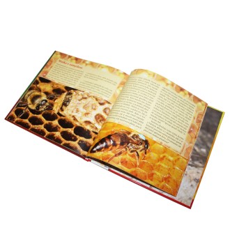 Včelí domeček - prázdniny v úlu V.S.